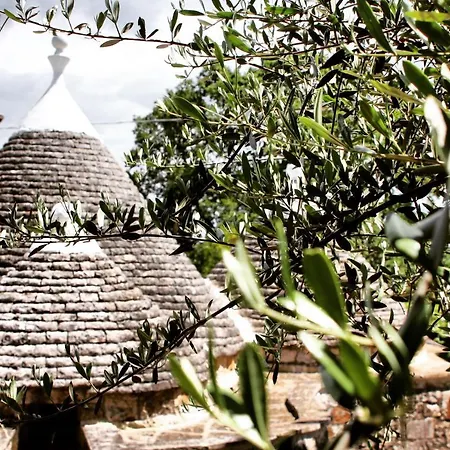 Trullo 55 *